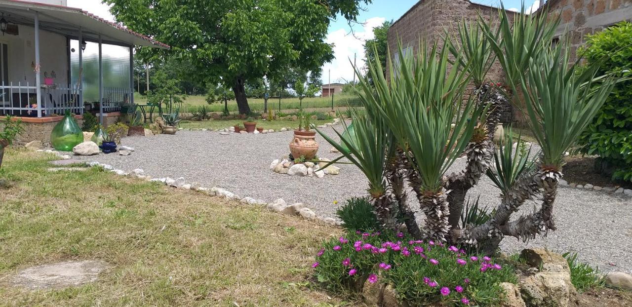 La Cascina Della Grotta Di Tufo Panzió San Valentino  Kültér fotó